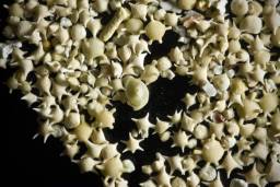 Пляж з «зіркового» піску, острів Ірімота, Японія.  Відвідувачів цих пляжів з «зіркового» піску дуже часто можна побачити, які нахилились до землі і захоплено вивчають химерної форми частинки в своїх руках. «Зірковий» пісок насправді являє собою екзоскелети форамініфери, мікроскопічної морської істоти, відмиті і відшліфовані за мільйони років прибережними хвилями. Найбільш уважні можуть, навіть виявити серед них живих молюсків.