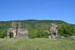 Виноградівський замок (інша назва — замок Канків) — замок на Закарпатті. Розташований на східній околиці міста Виноградова, біля підніжжя Чорної Гори.