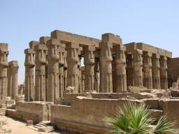 Колони Луксорського храму